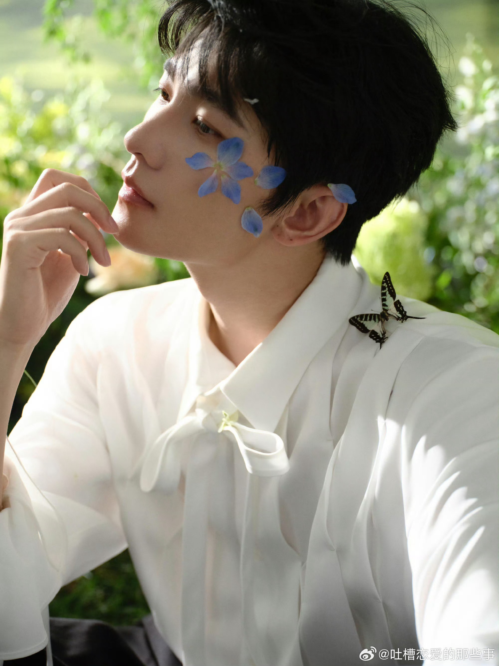 杨洋满三十五减十谁懂杨洋这个状态，真的是满三十五减十✨置身繁花之中，五官立体精致