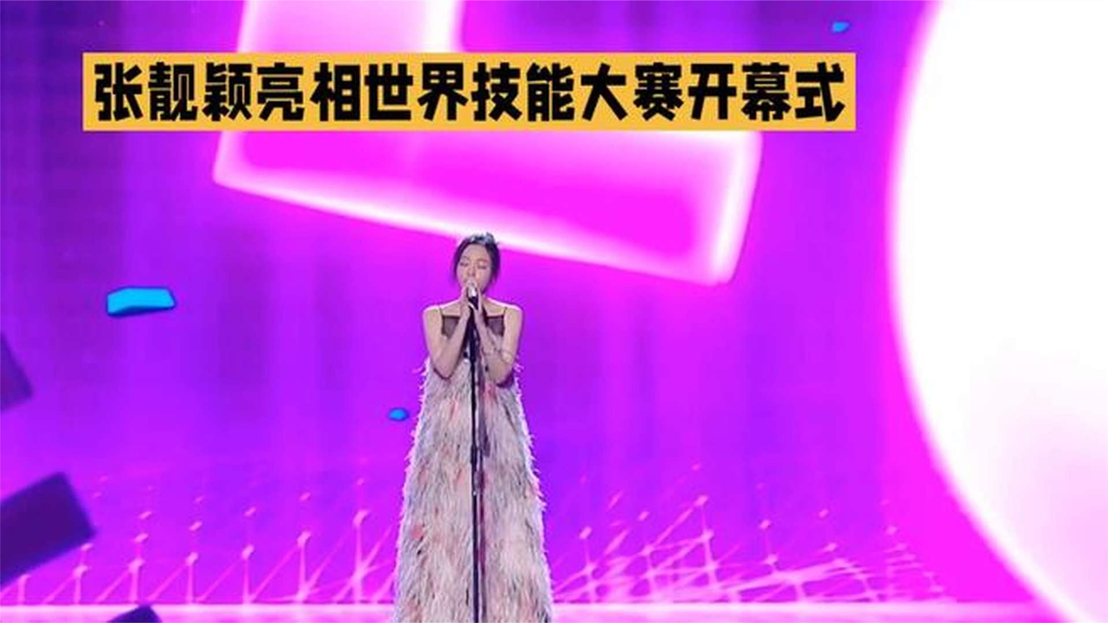 张靓颖亮相世界技能大赛开幕式