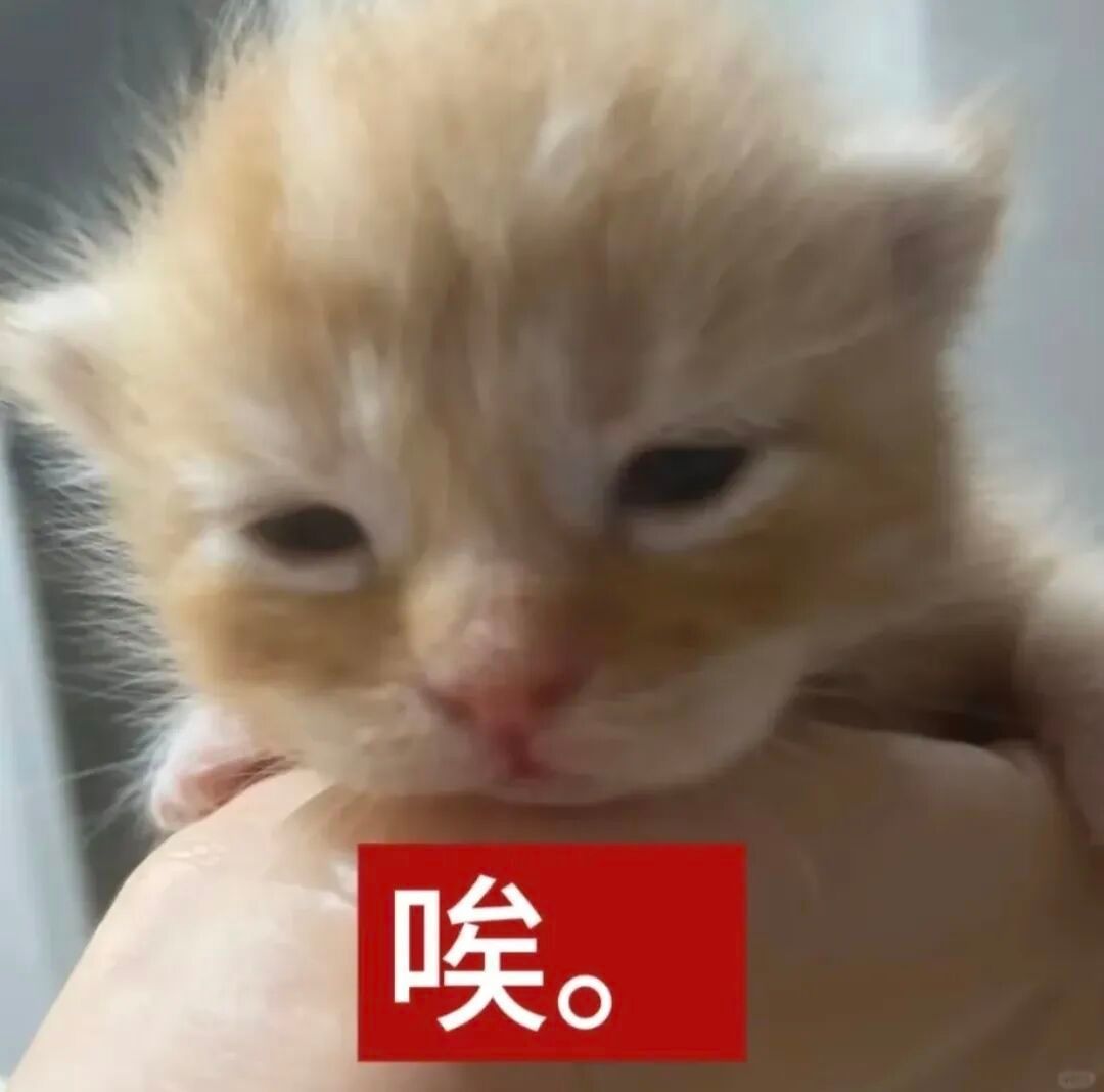 今天再坚持一天明天就是星期五了