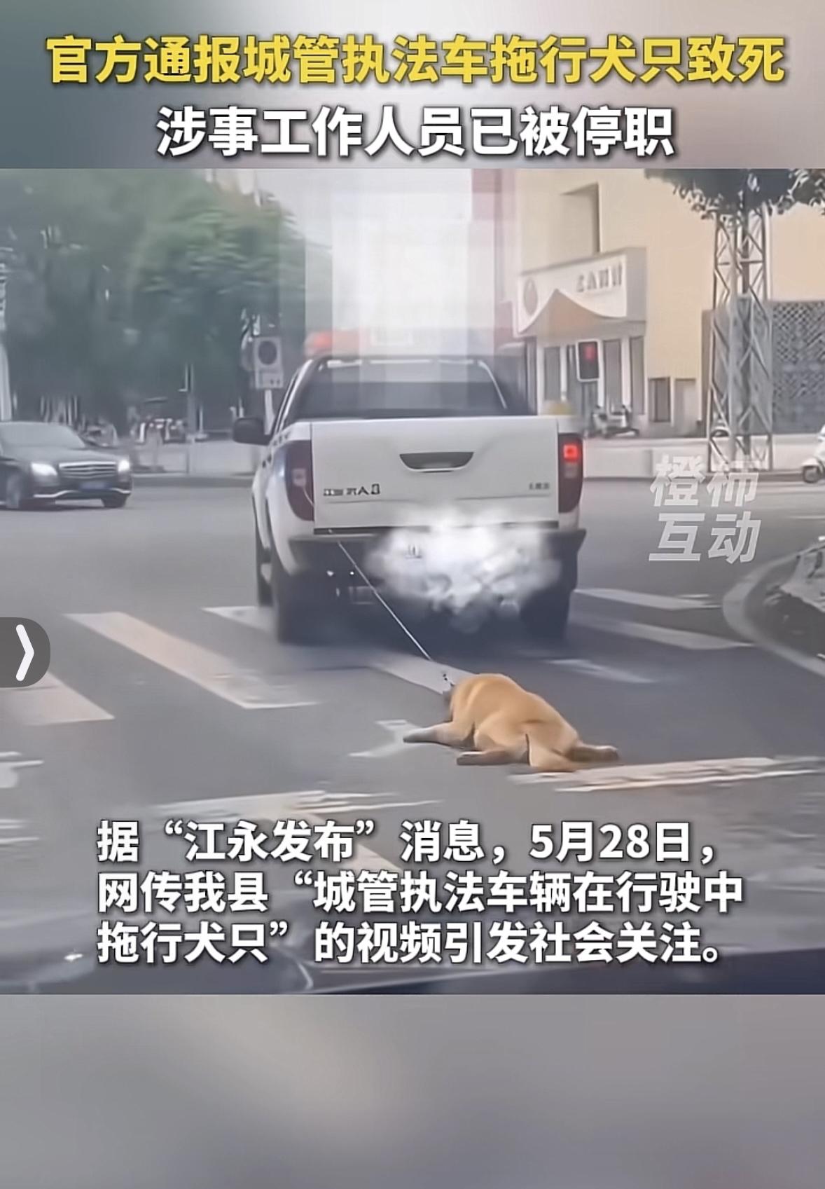 城管驱离无主流浪犬，初衷是保障路人安全。流浪犬无人管束，存在追逐、咬伤行人、惊吓