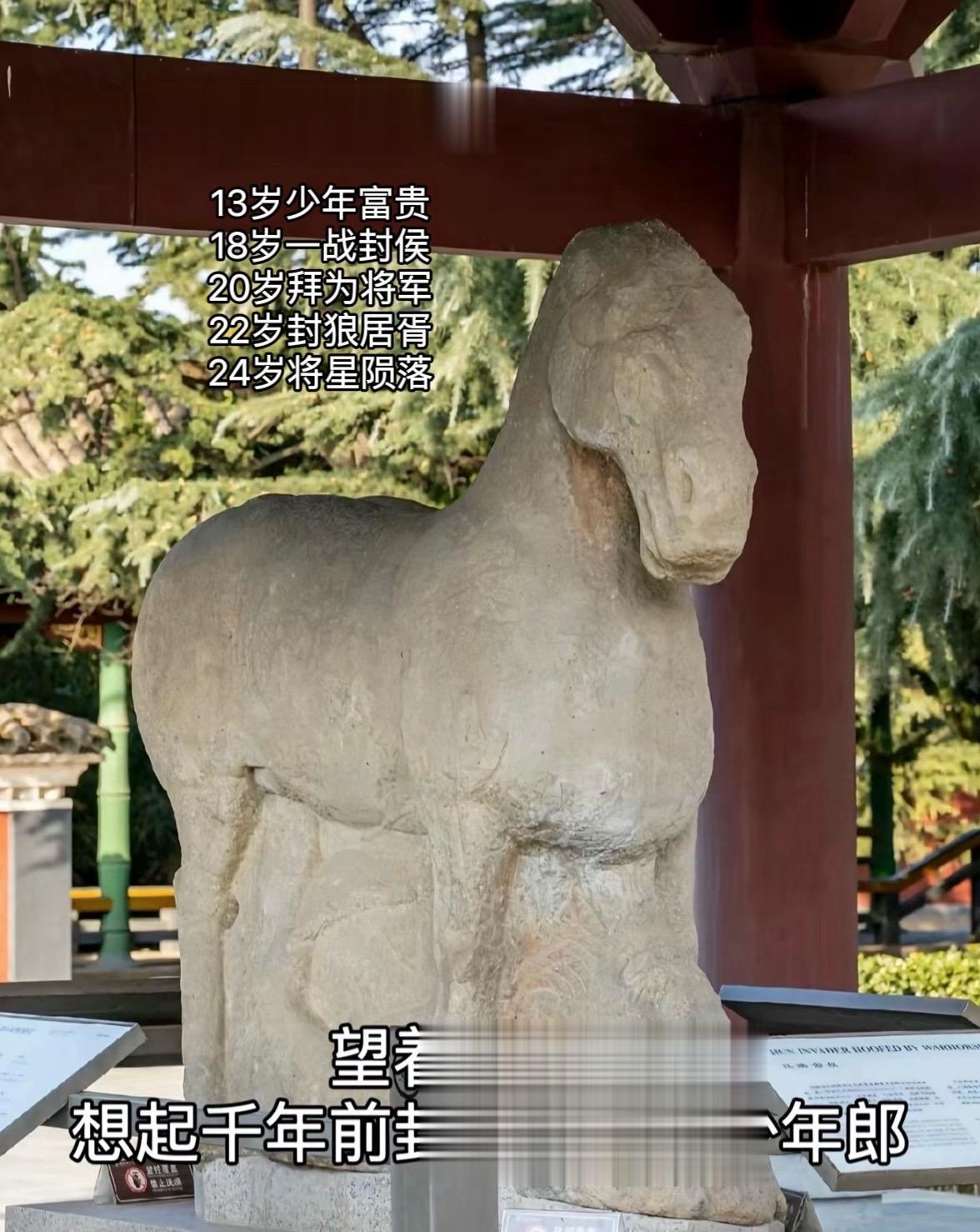 谁懂他的含金量啊，中国人这辈子都放不下霍去病