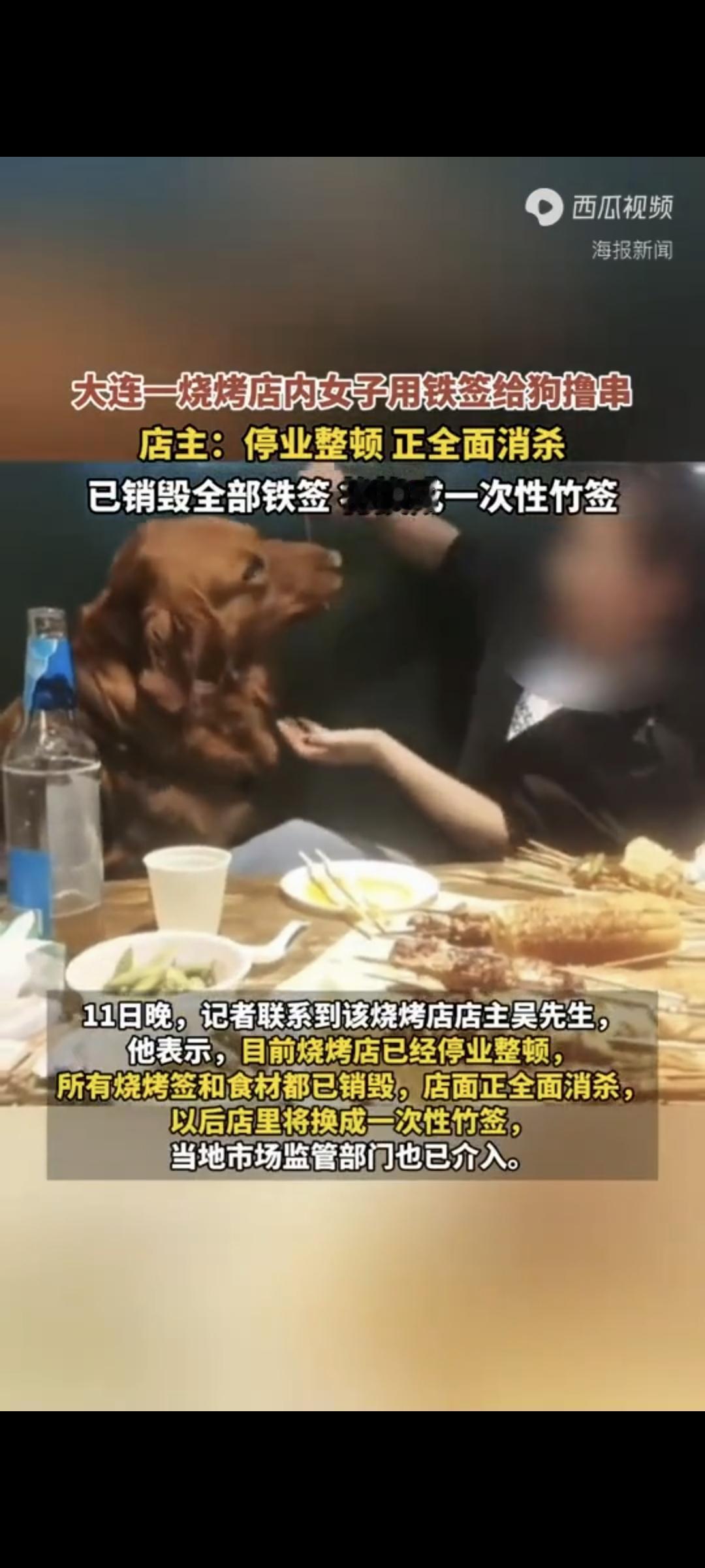 你能接受饭店内有宠物吗宠物，它是宠物主人的宠物，并不是所有人的宠物。说到底，宠物