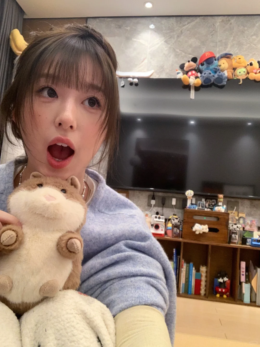 我的一个新的 jellycat ʚ🐭ɞ