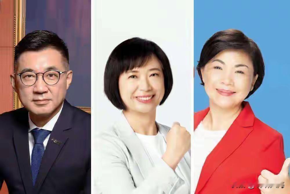 这民调差得也太悬殊了！江启臣48%的支持率，把杨琼璎16.3%远远甩在身后，31