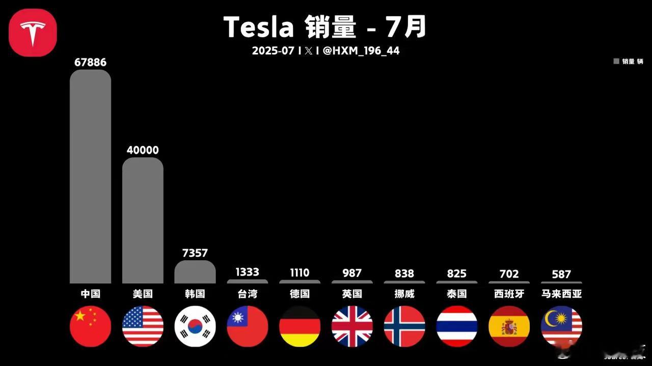 现在特斯拉销量全靠中美了[费解] ​​​