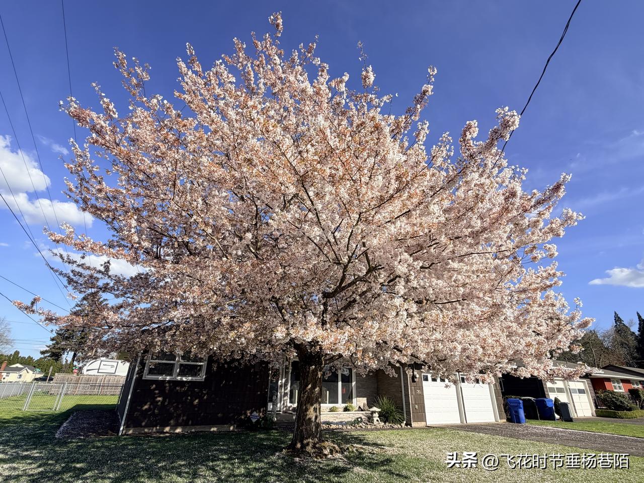 这篇文章用日常生活中常见的现象，分享生活中的经济学知识：
第一：边际成本
普通人