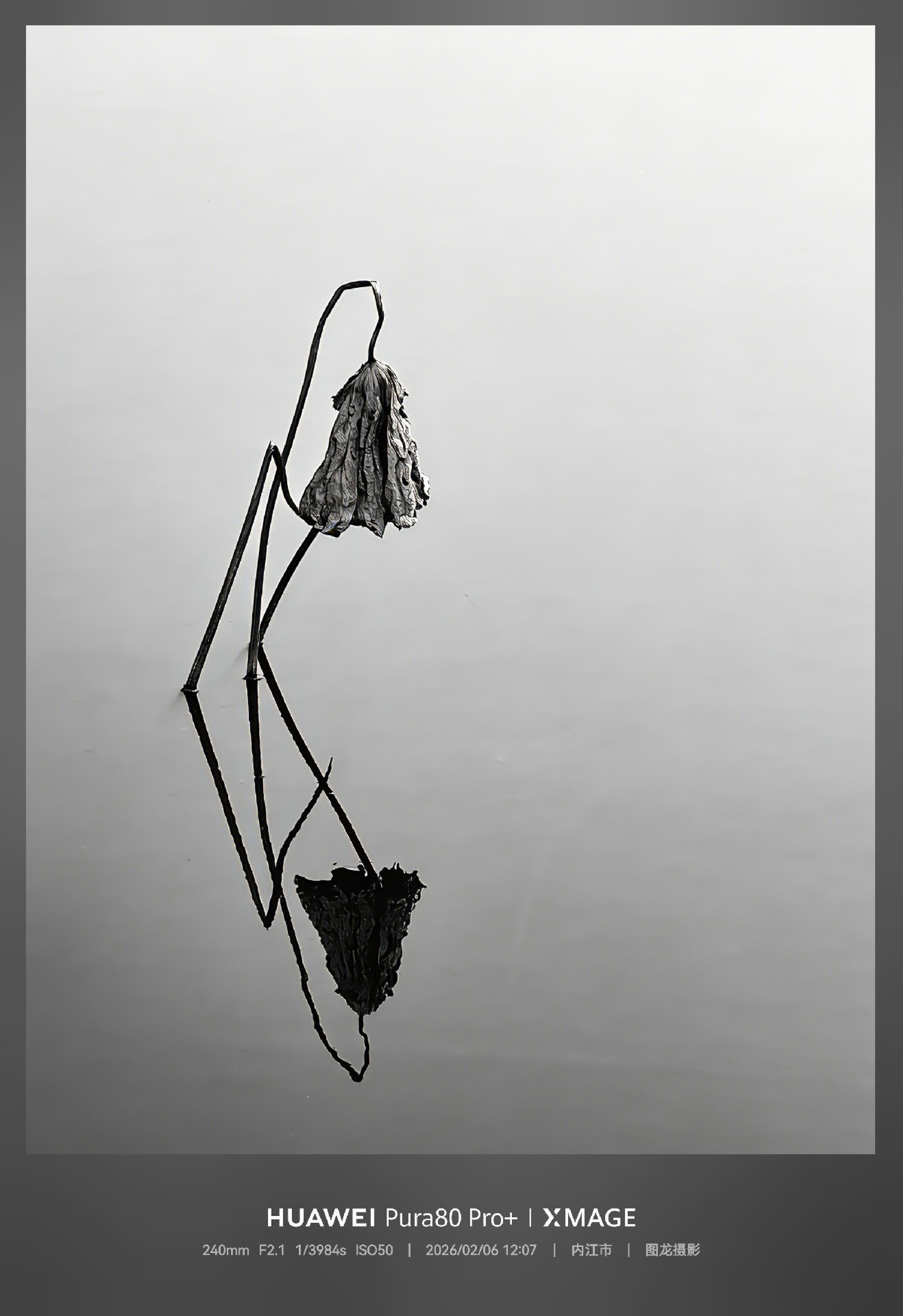 残缺也是一种圆满，就像这池残荷，沉默里全是故事…