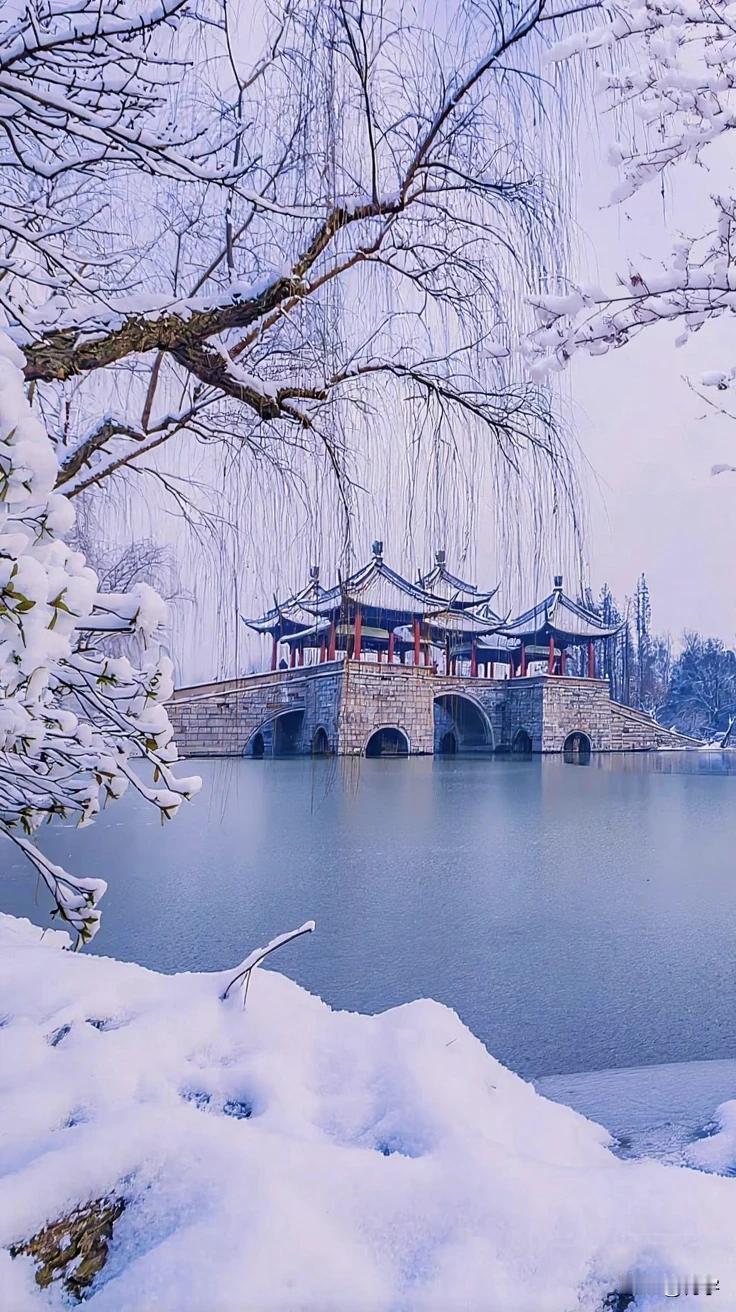 当冬雪悄然落在江南的肩头，这片熟悉的山水，便换了一副澄澈模样。
 
岸边的树，褪
