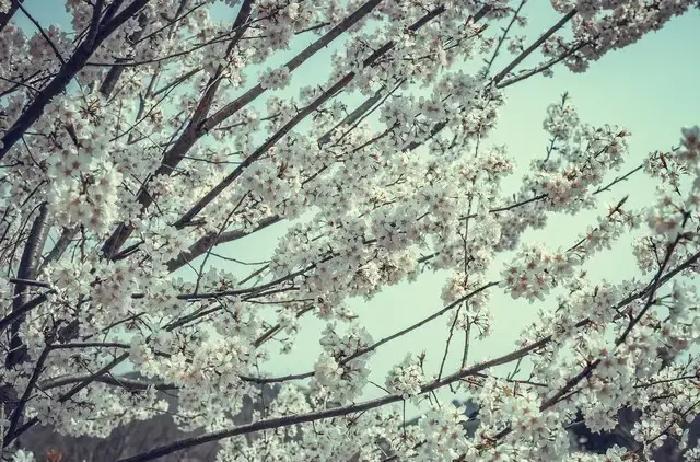 步入七十岁，一对老夫妻突然决定分房睡，结果却让感情更近了？

步入七十岁门槛，很