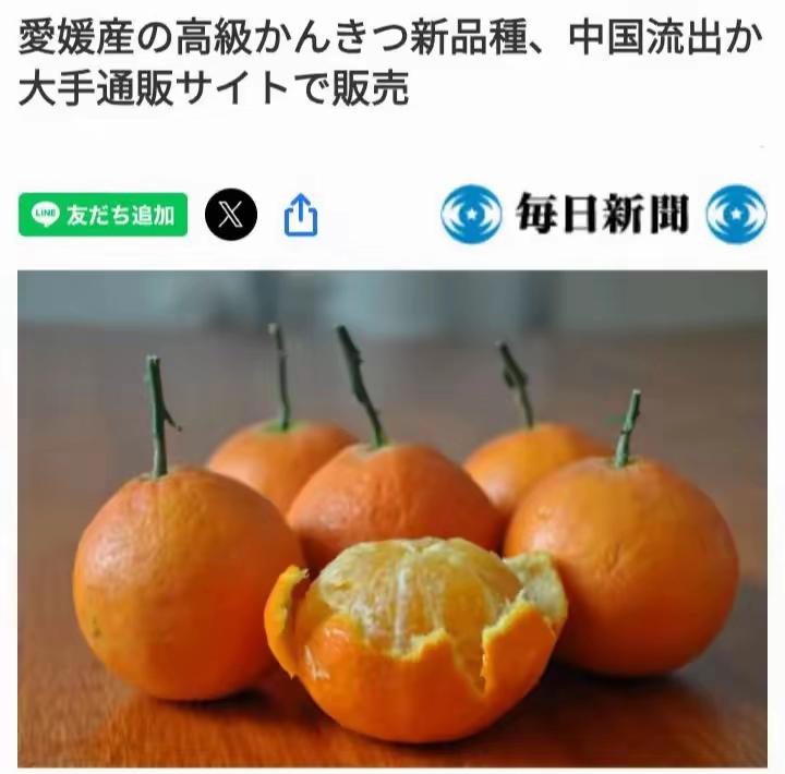 在面对中国时，有些日本人的“优越感”太强了。

这事说出来挺有意思的。

日本有