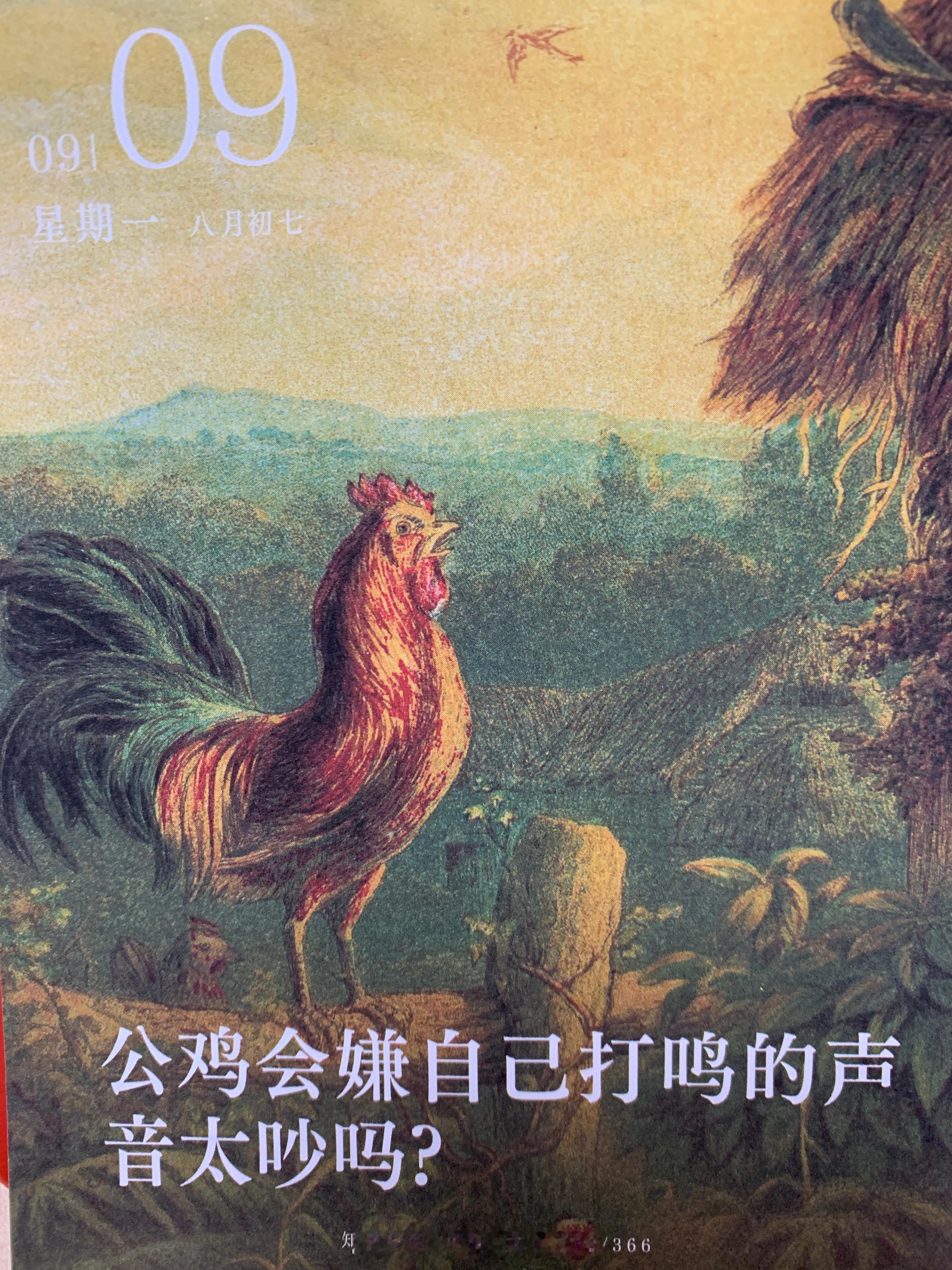 周一加油朋友们！ ​​​