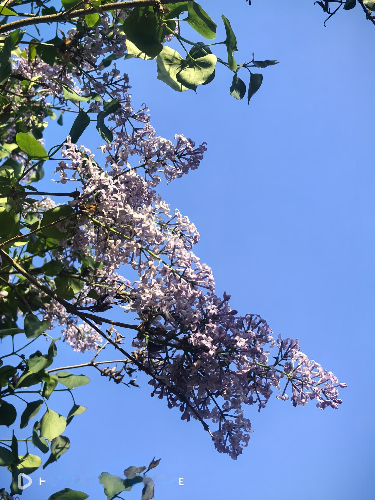 这一事件打破了“晚辈翻唱前辈作品无需严格授权”的潜规则，也印证了人民日报“尊重版