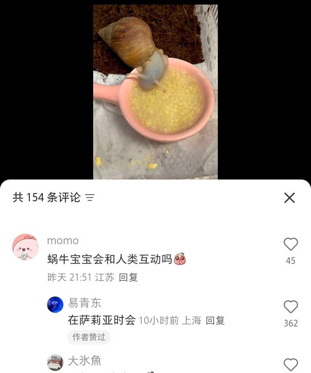 ？ ​​​
