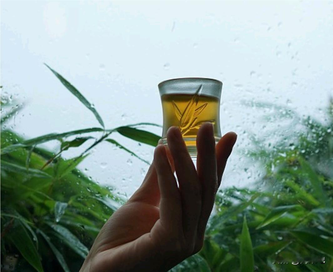 下雨天适合想念，雨声像一把钥匙，打开那些被锁在心底的抽屉。
我想起第一次淋雨，是