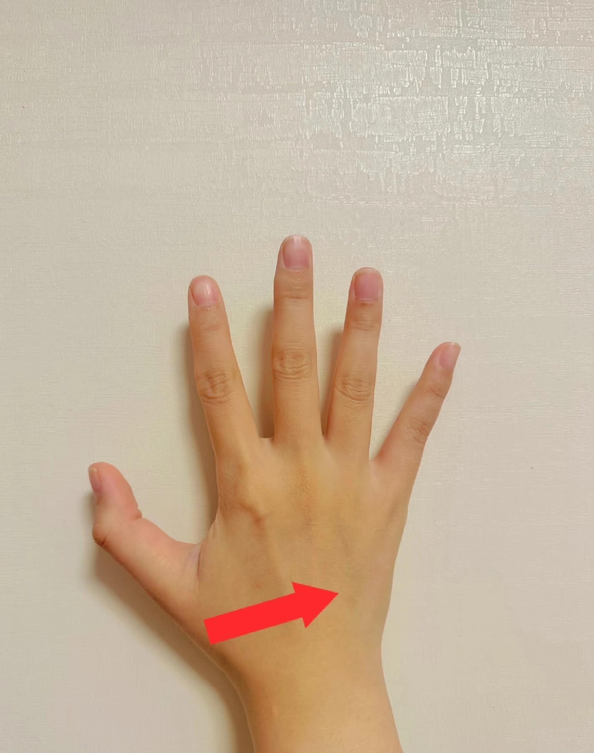 每天做点小动作，夏天一定瘦瘦瘦减肥瘦肚子健康养生 ​​​