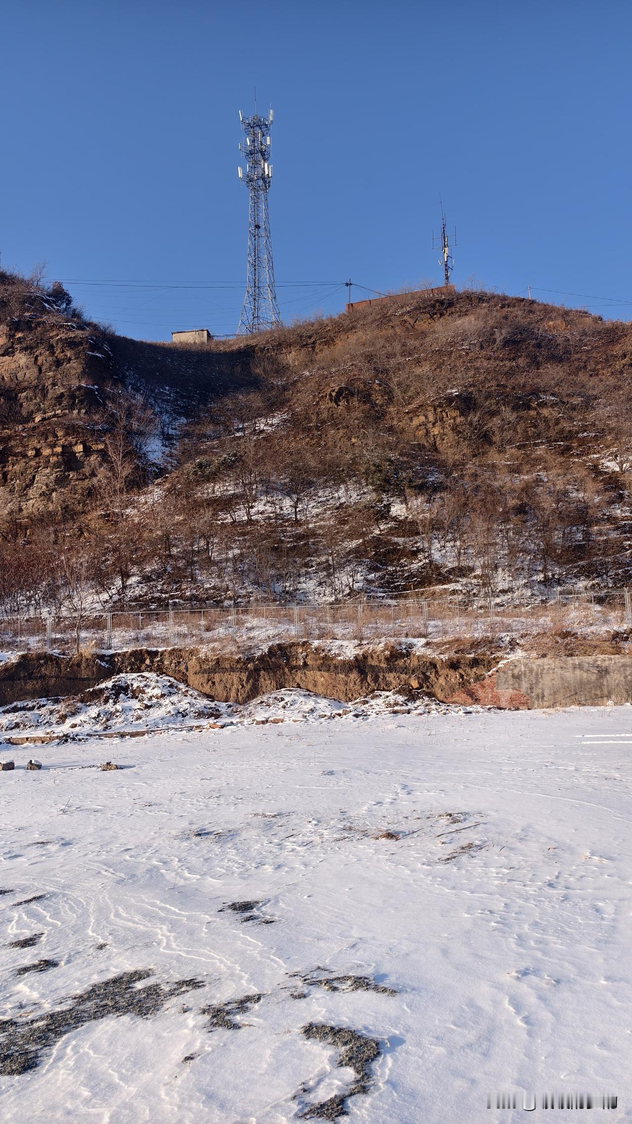 冬日生活打卡季