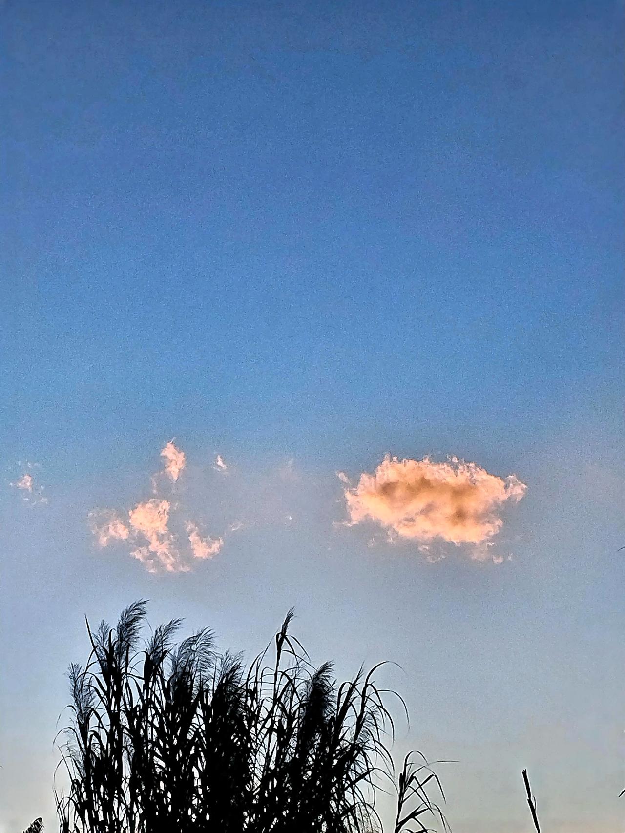 黄仁勋若再访华，商业合作机会那可不少。此前他访华时，美国批准H20芯片销往中国，