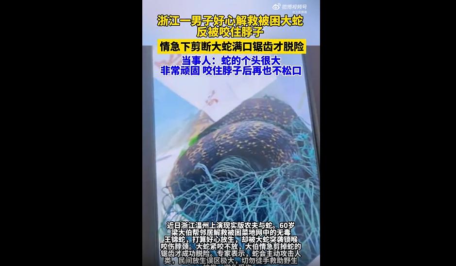 《农夫与蛇》，道理人人都懂，可真到了现实里，还是会有人栽在心软和迷信上。
近日，