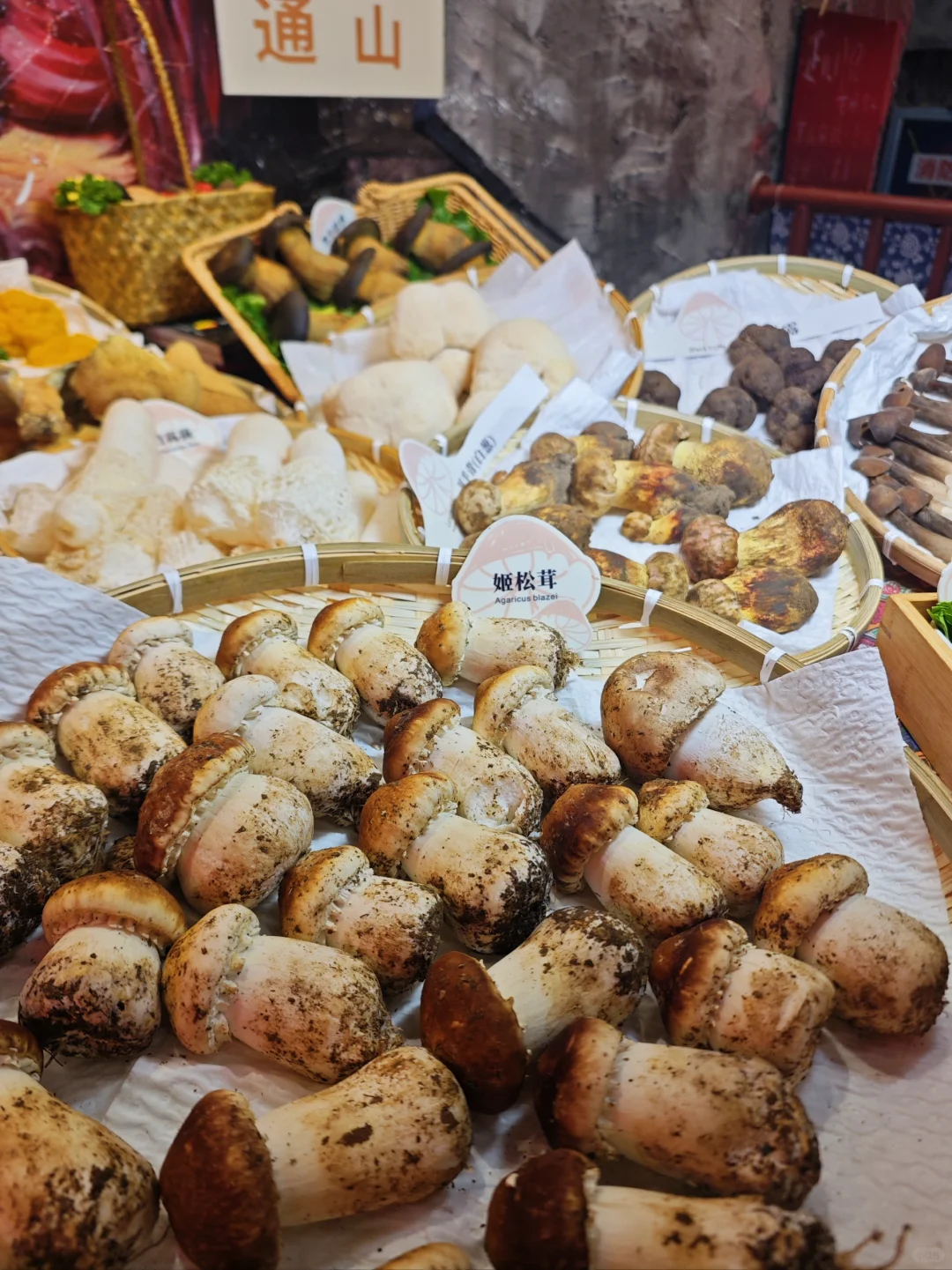 大自然馈赠的新鲜菌子在慈溪银泰吃上了！！
