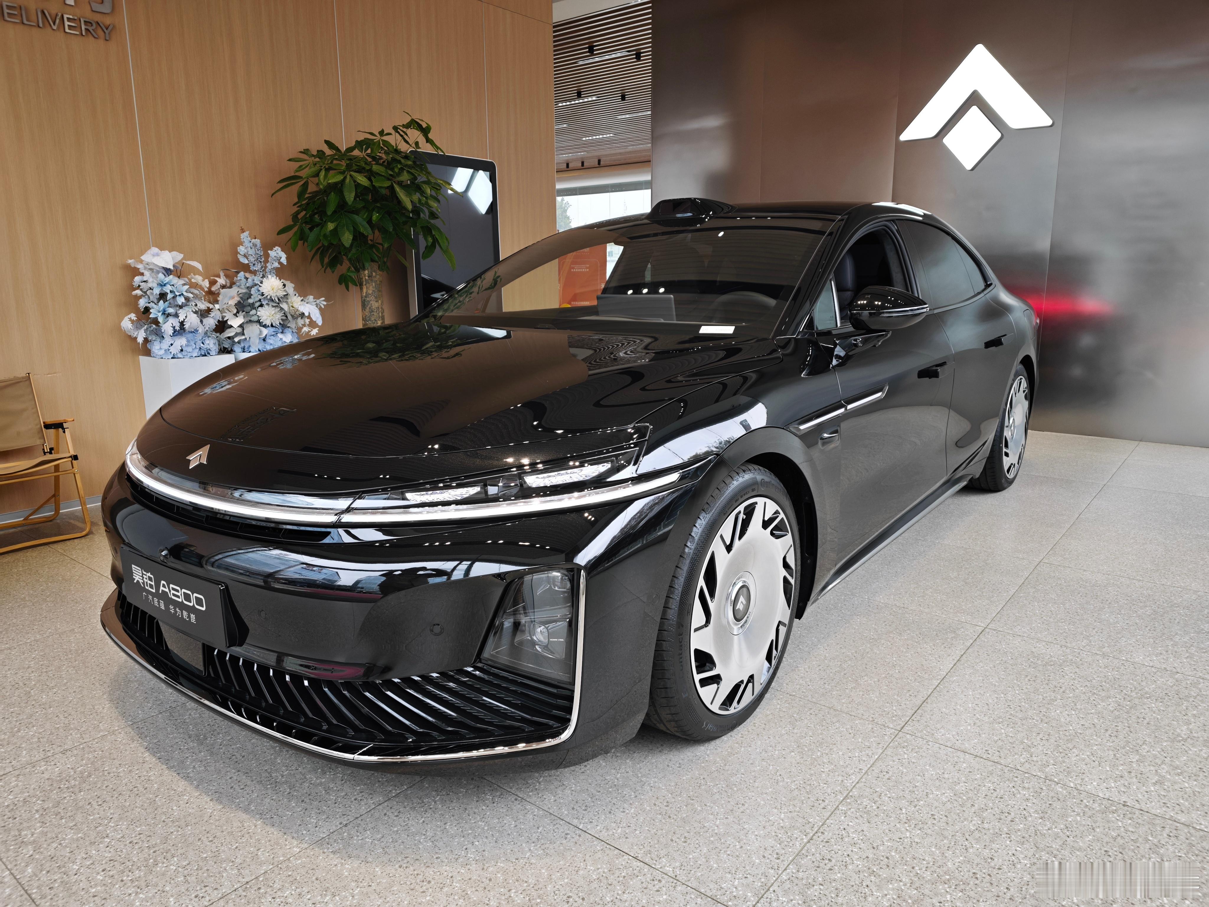 本以为昊铂A800会有试驾车，结果车管所系统里都没有这台车，没法上牌，试驾车也成