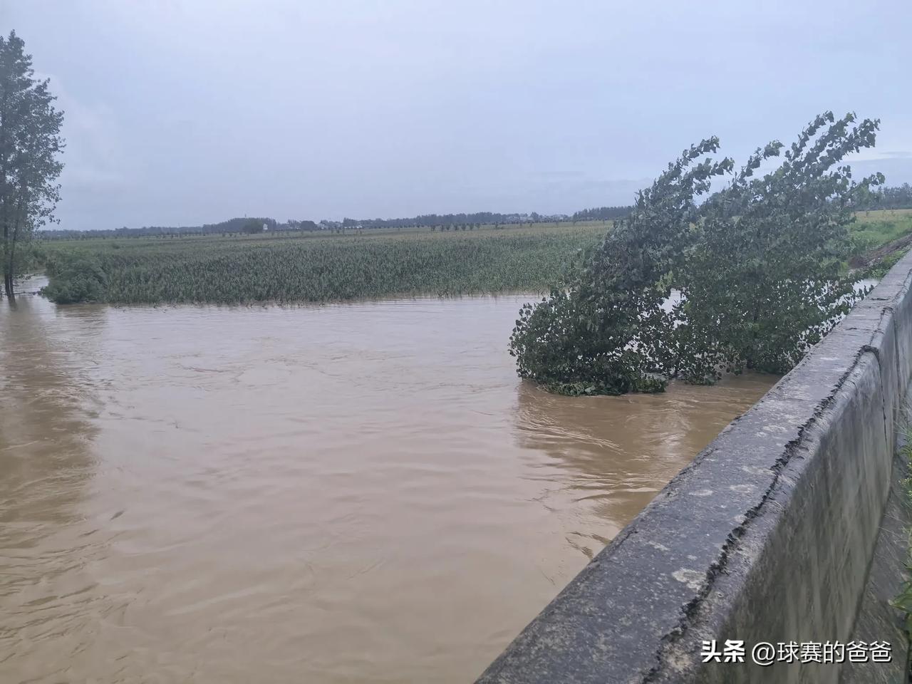今日骑行打卡：挑战都司至张仙营
趁着面下的稍微小一点，就和对门新景老表开始了此次