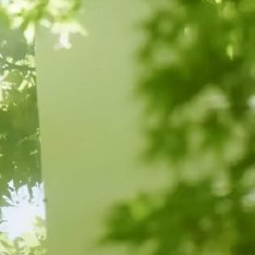 3.14日行一善，积善成德。人要有一颗善良的心、宽广的心、美好的心、感恩的心，这