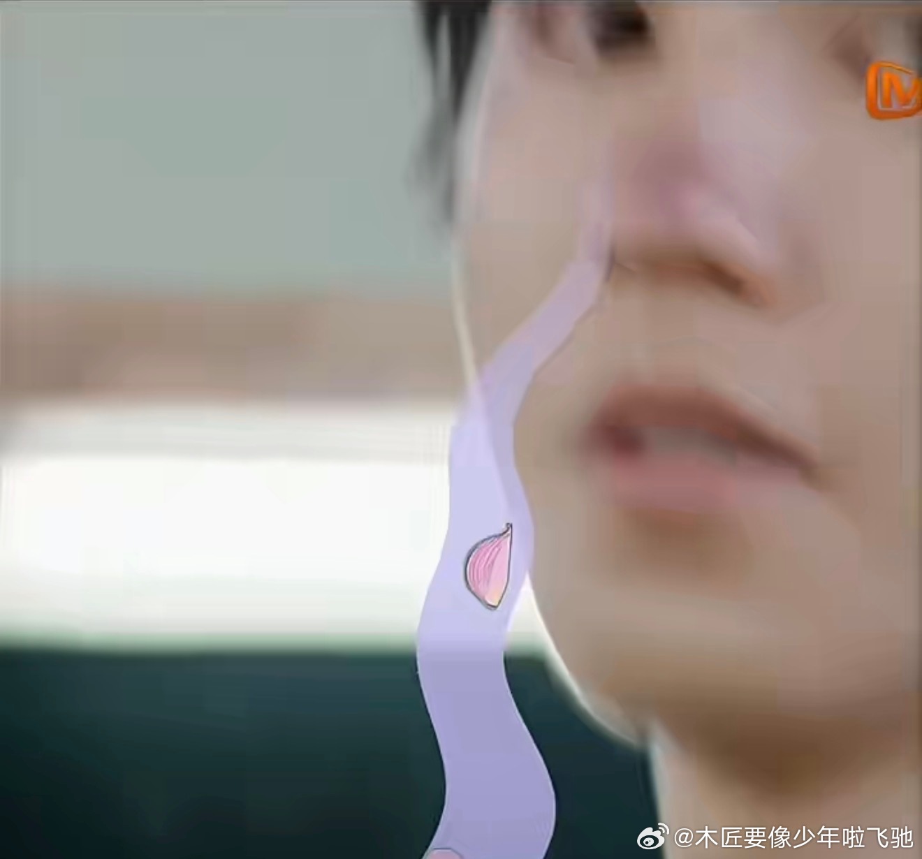 除了«再见爱人»系列，天合系后期的核心精髓还是在小动画、艺人萌点。王俊凯我不知道
