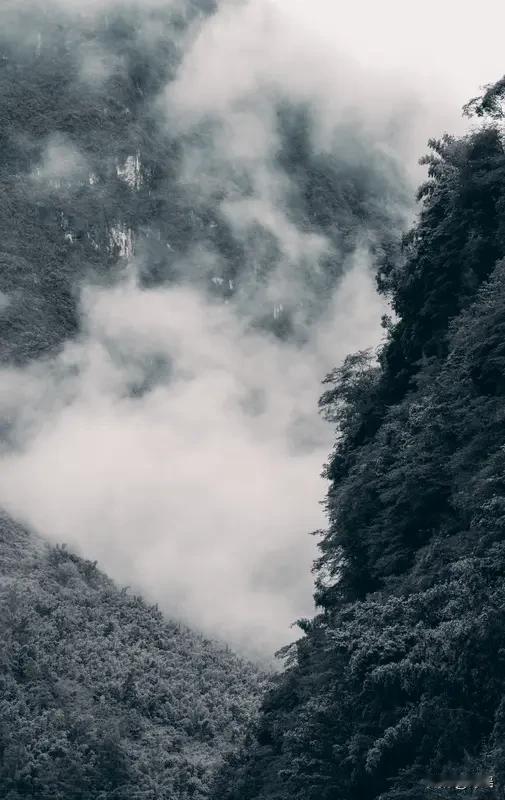 看到“千层高山千层雾”上联
瞬间被壮阔缥缈意境吸引
它描绘高山层叠雾气缭绕
宛如