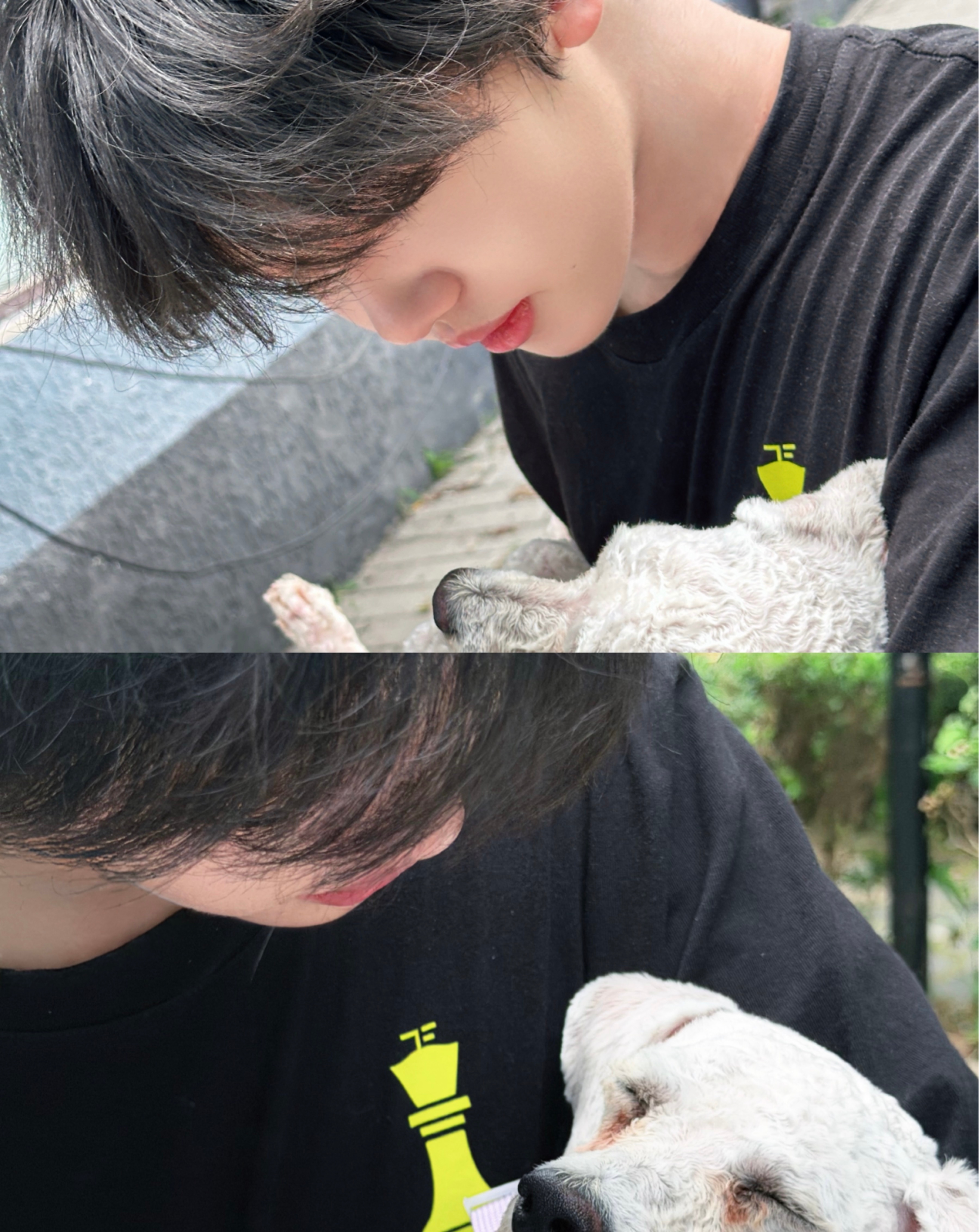 20260711 张奕然高会更新阳光很好☀️突突很可爱🐶可是宝宝 在我眼里全世