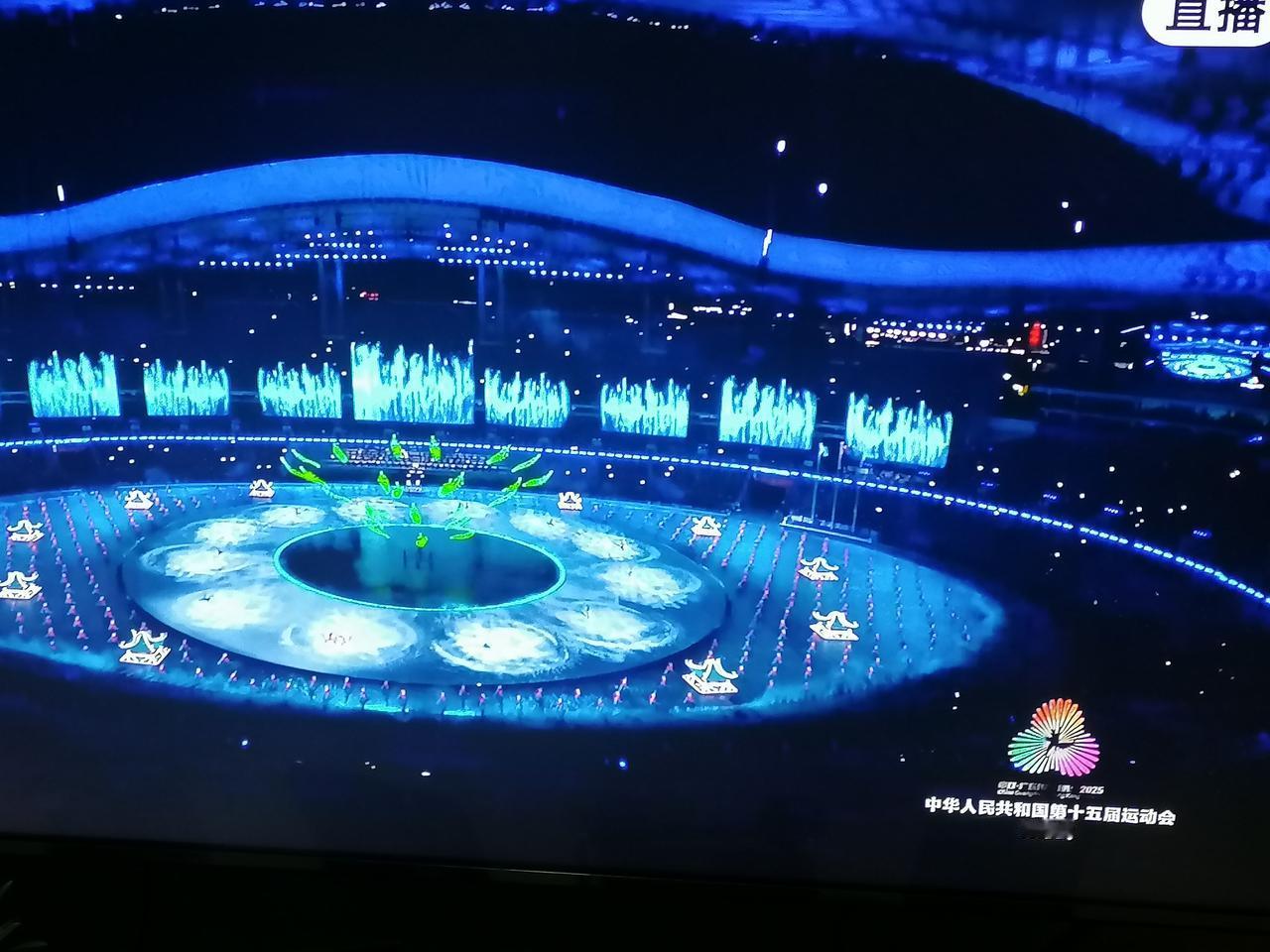 当夜幕低垂，珠江畔的广东奥林匹克体育中心化作一片璀璨的海洋，第十五届全运会的开幕