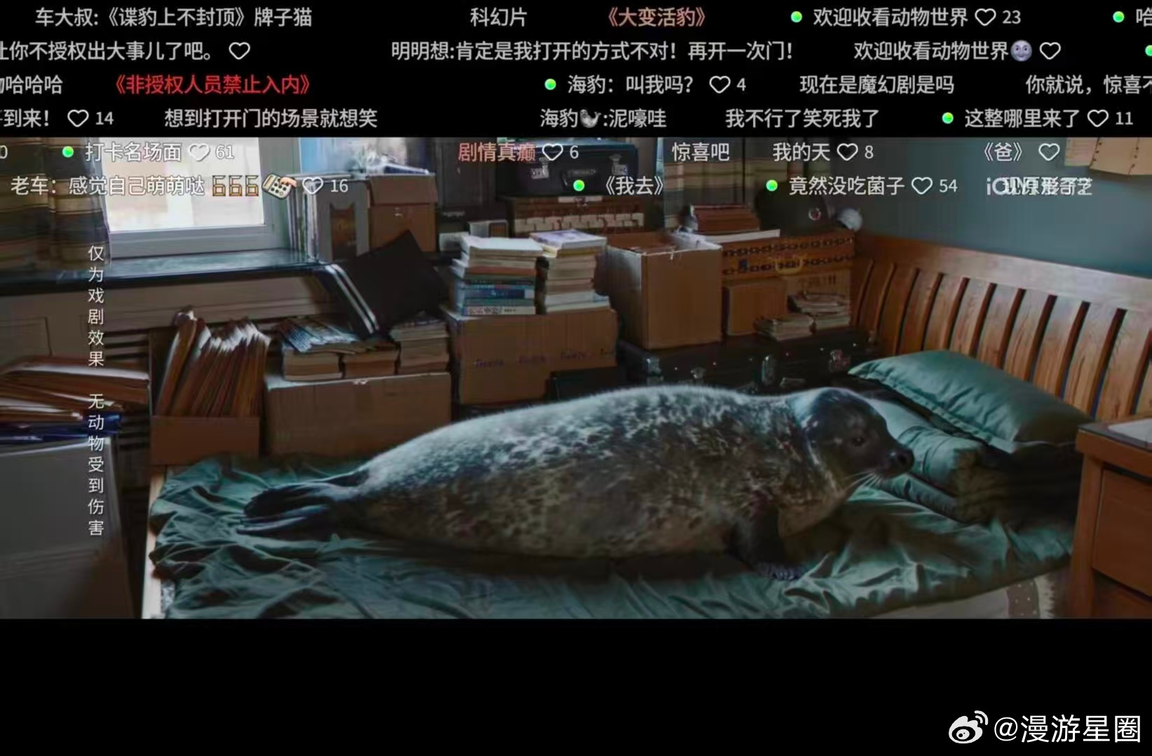 肖战新剧一次外向换来次次内向 边看边碎碎念，这剧的设定真的太离谱了，神医变兽医就