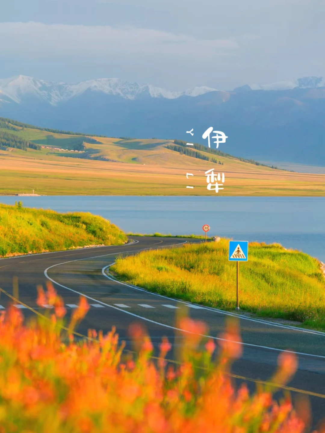 我猜，没有人能拒绝春天的伊犁吧