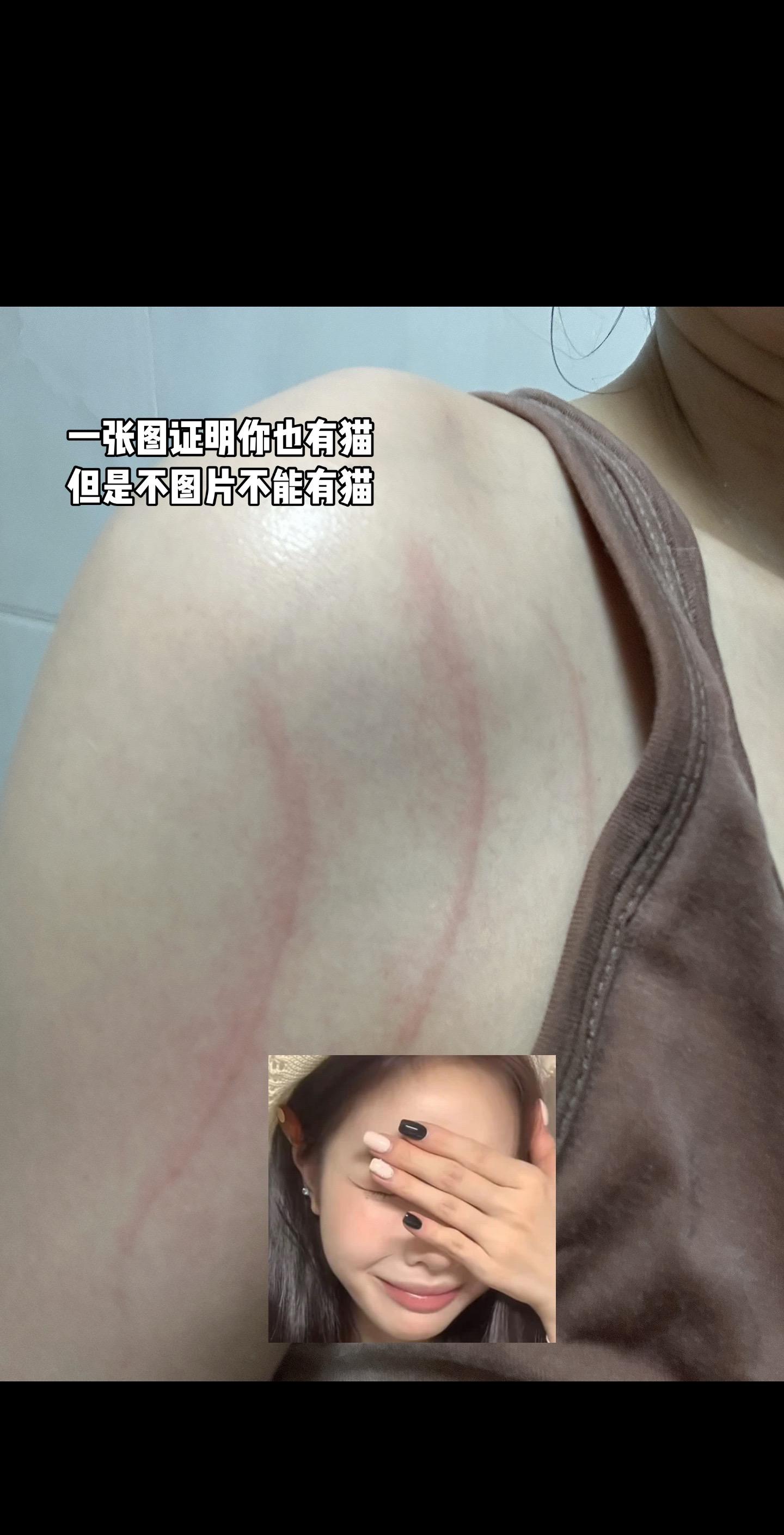 不带话题还能刷到基本大概率你也有猫