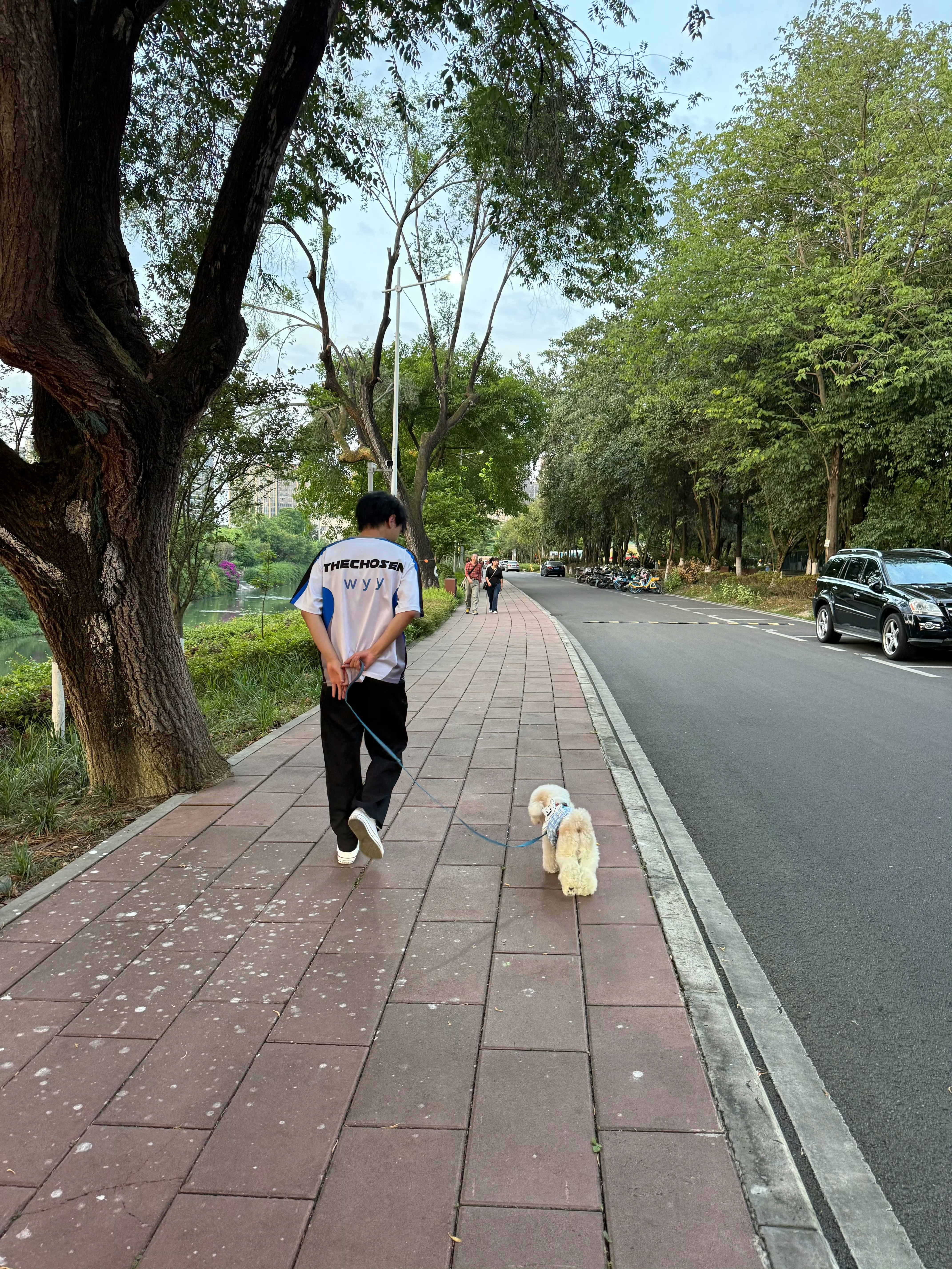 TC电子竞技俱乐部  好有爱的一幕2026pel夏季赛
