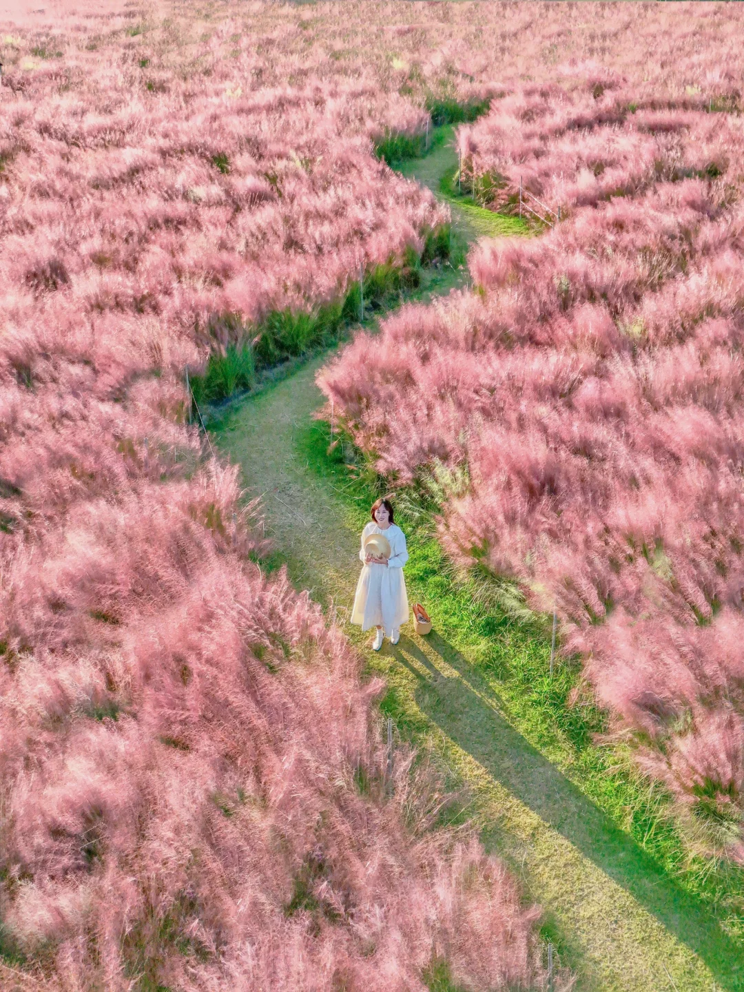 我宣布‼️这一定是武汉秋天蕞治愈的花海🌸