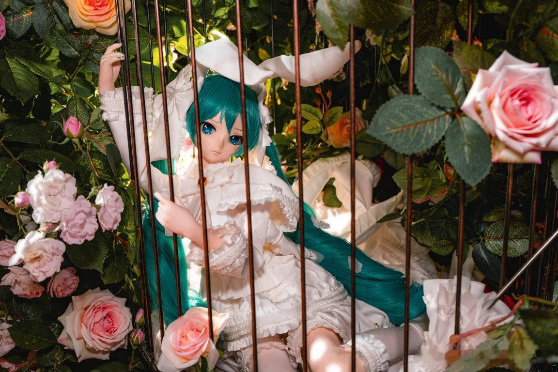 bjd