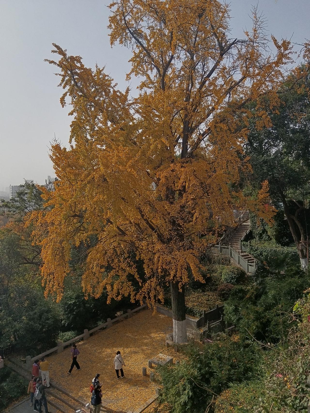 现在的人两极分化，不光是在经济上，还有思想上的，特别是对生命的看法！
越是年轻人