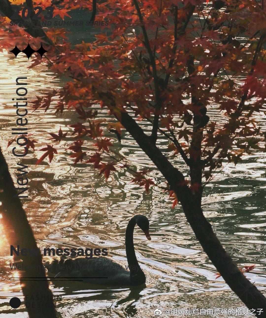 尽力从从容容、游刃有余，避免匆匆忙忙、连滚带爬 