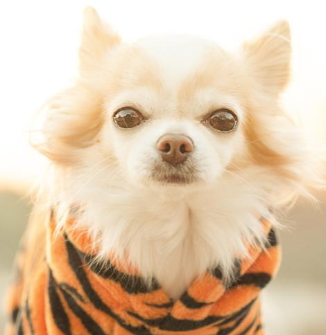 这些冷门但高薪的专业，湖北家长都不知道
每年填志愿，家长眼里只有计算机、金融、医