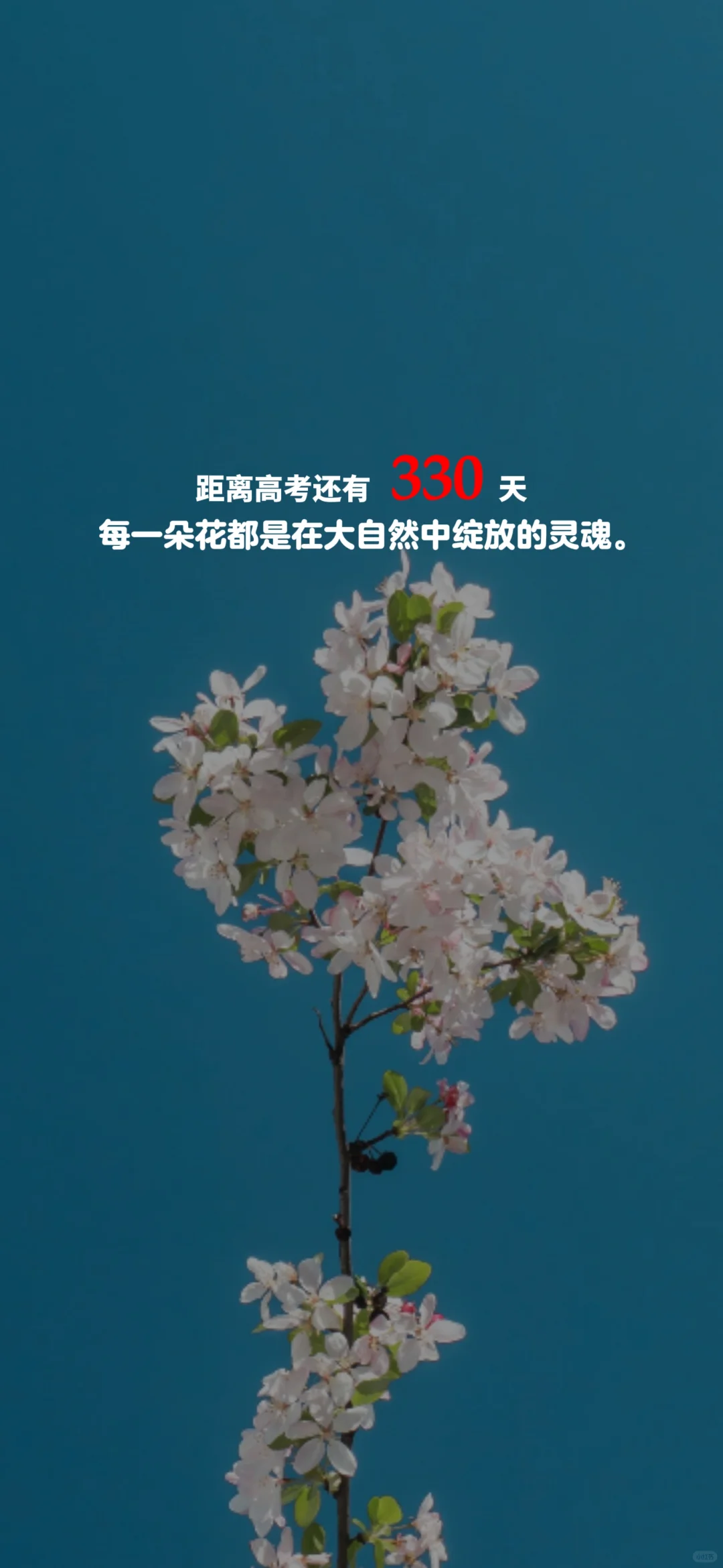 2025高考倒计时，每日更新。