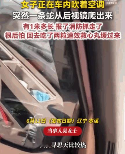 真吓人！辽宁，一女子正惬意地在车里吹着空调纳凉，一条1米多长的“不速之客”在车前