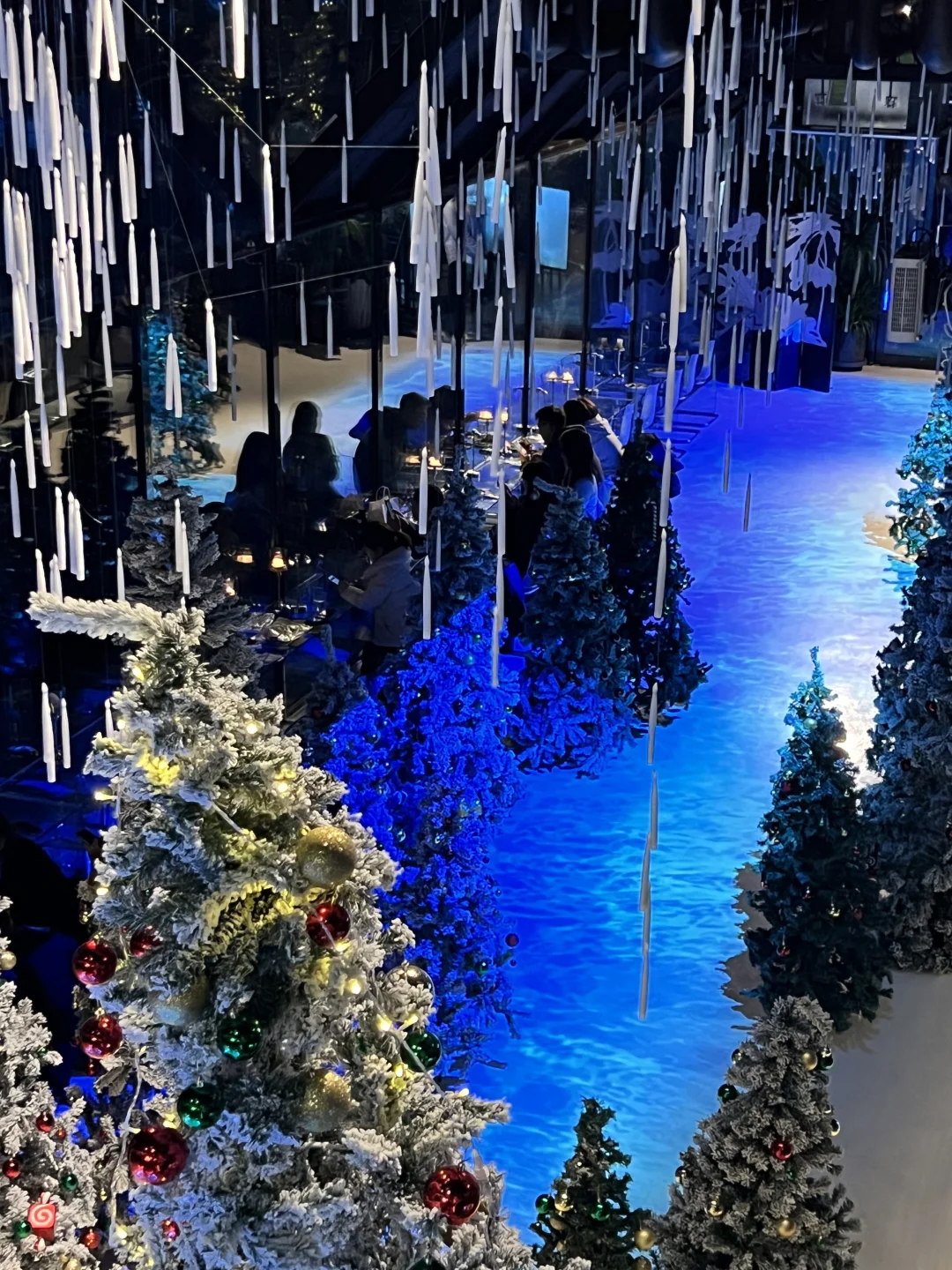 大连新发现的，圣诞限定，太美了！