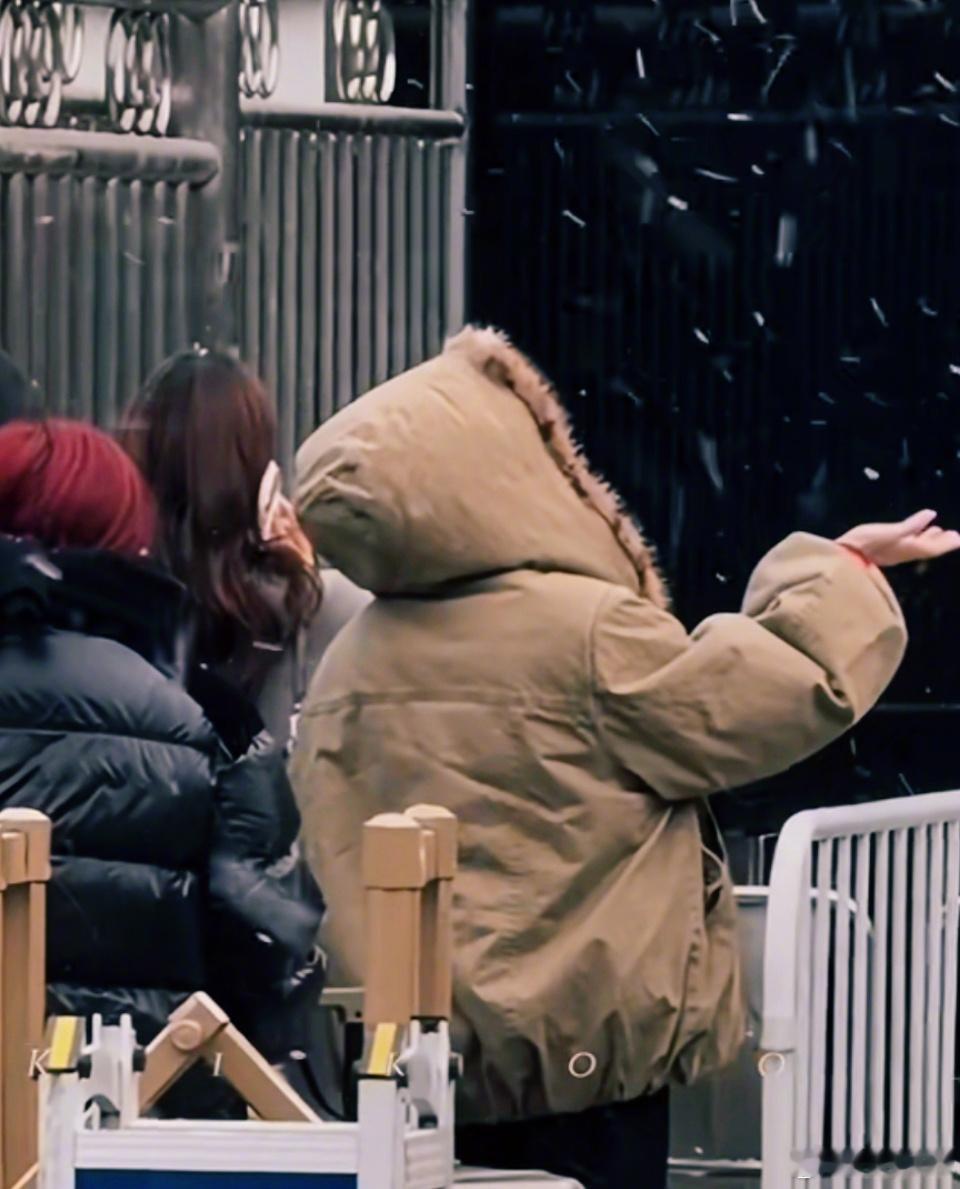 白鹿春晚联排神图有了白鹿伸手接雪这一下白鹿春晚联排神图！接雪这一下好绝！！白鹿