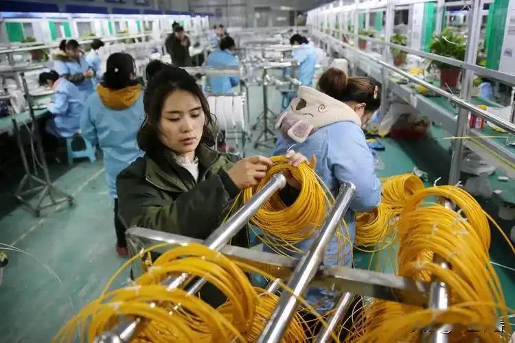 。
 
一、全球竞争格局
 
- 第一梯队（中国）：长飞、亨通、中天、烽火四大龙