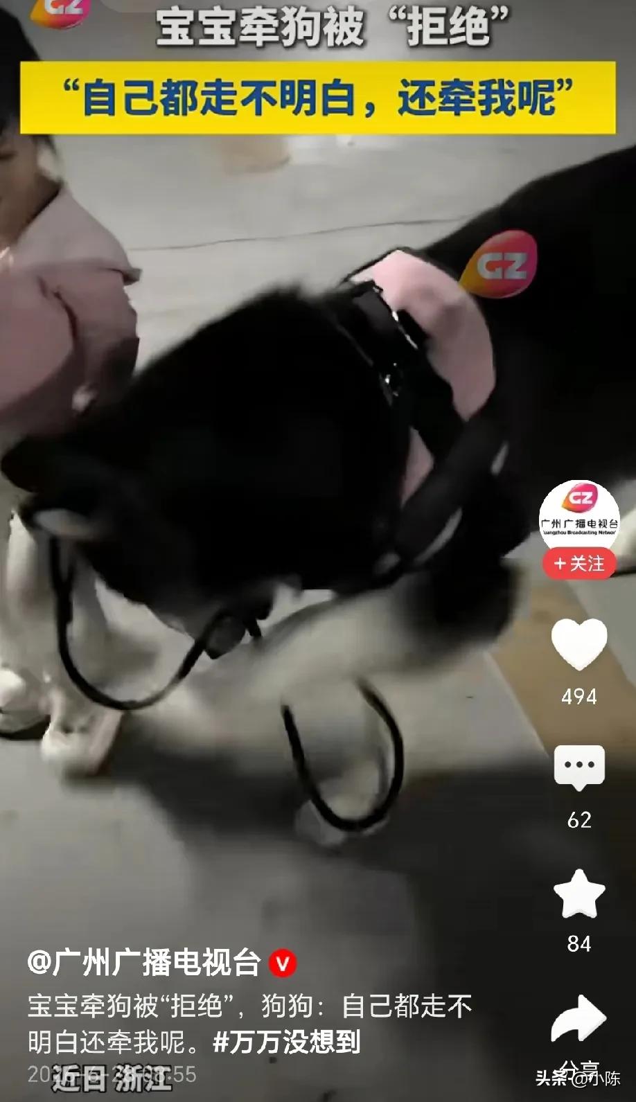 狗都嫌弃的年纪！浙江，宝宝牵狗绳，被狗狗用前爪打掉绳子，宝宝想去抓绳子，被狗狗一
