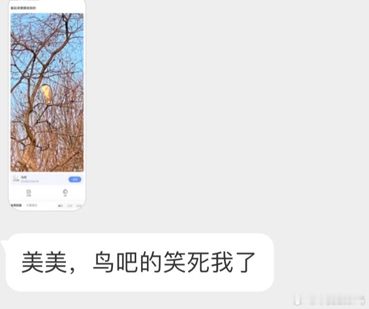 夜鹭：先管好你自己吧！ ​​​