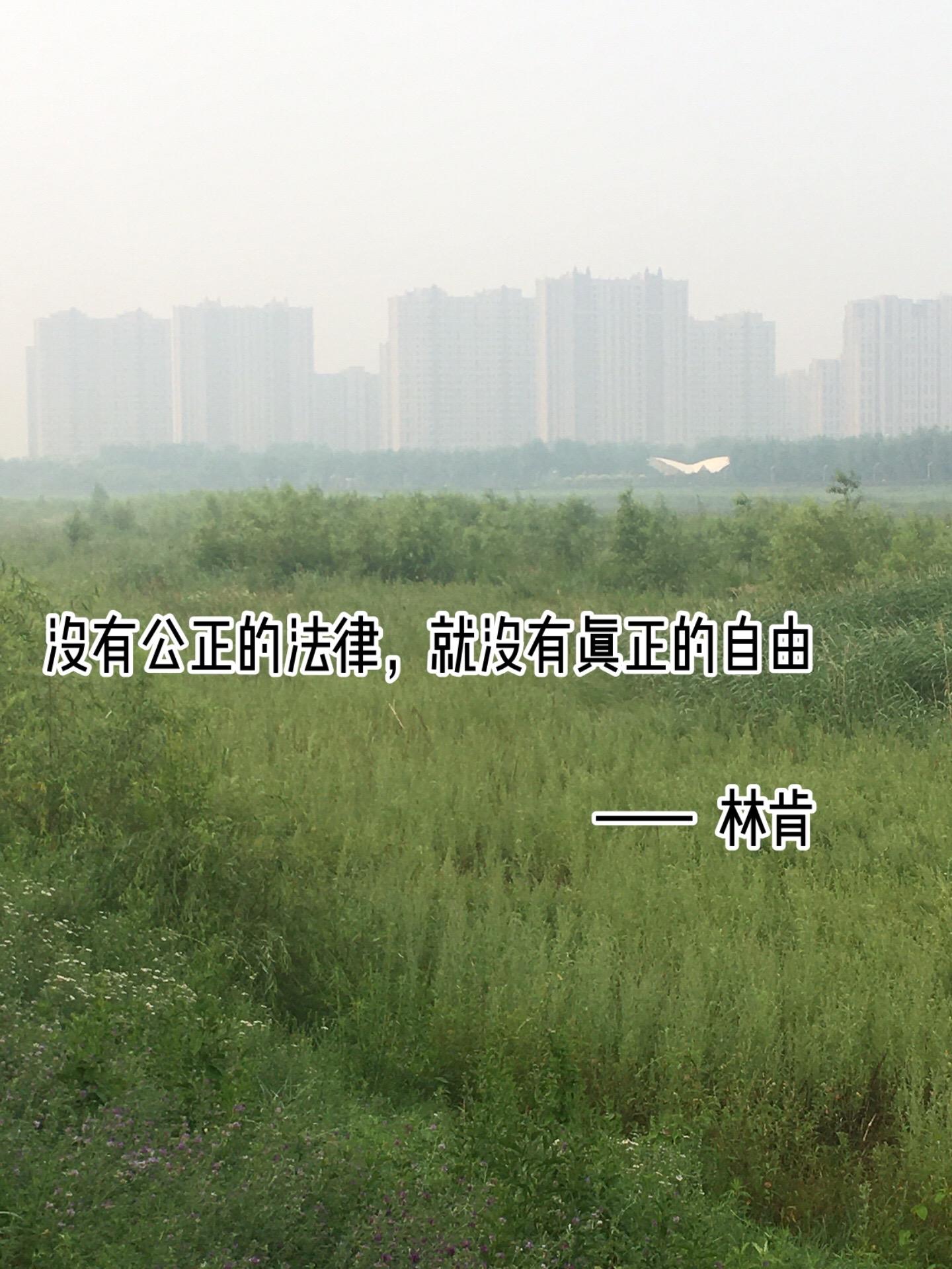 自由