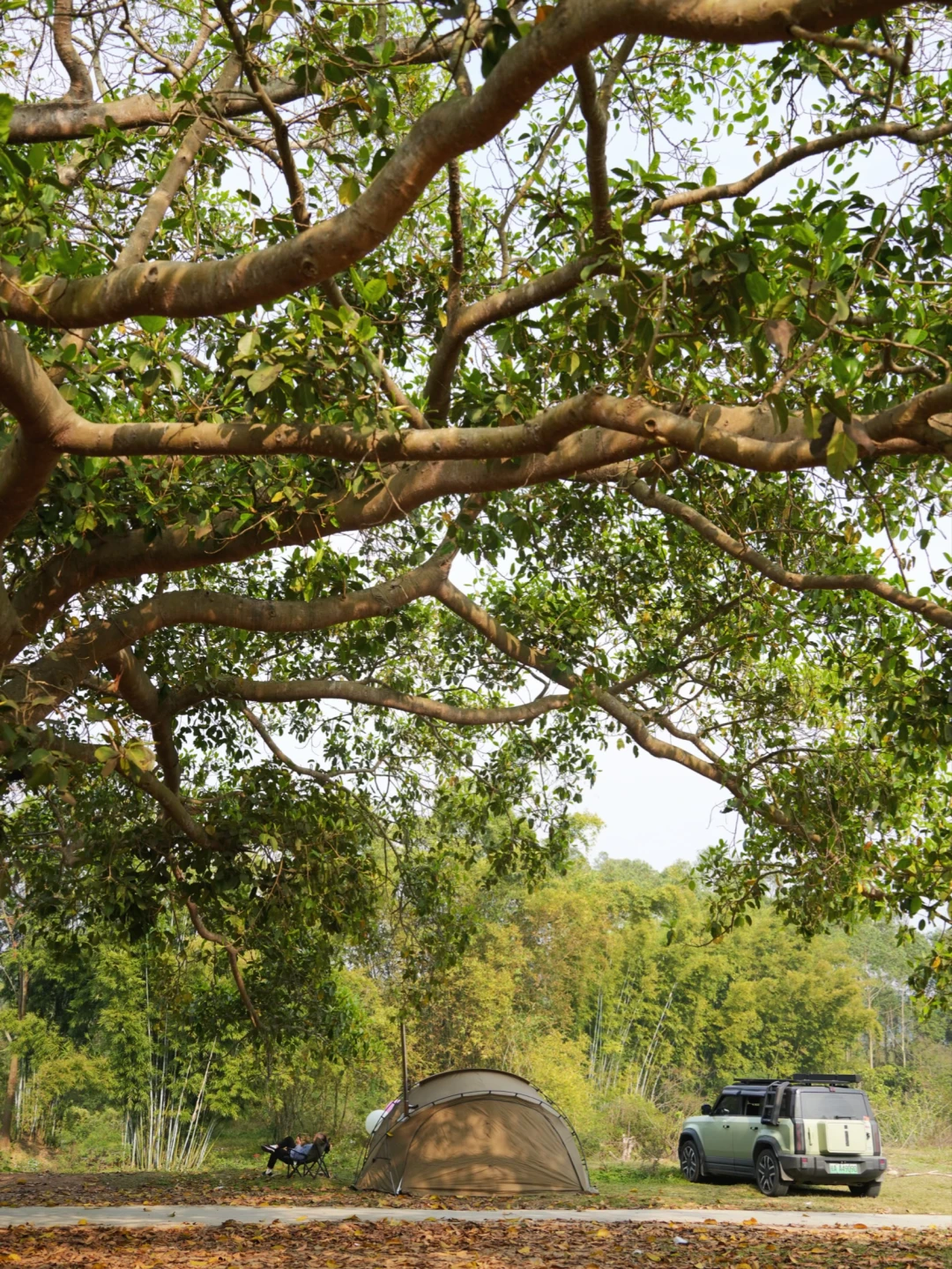 南宁30分钟直达，免费人少车到“放空”营地