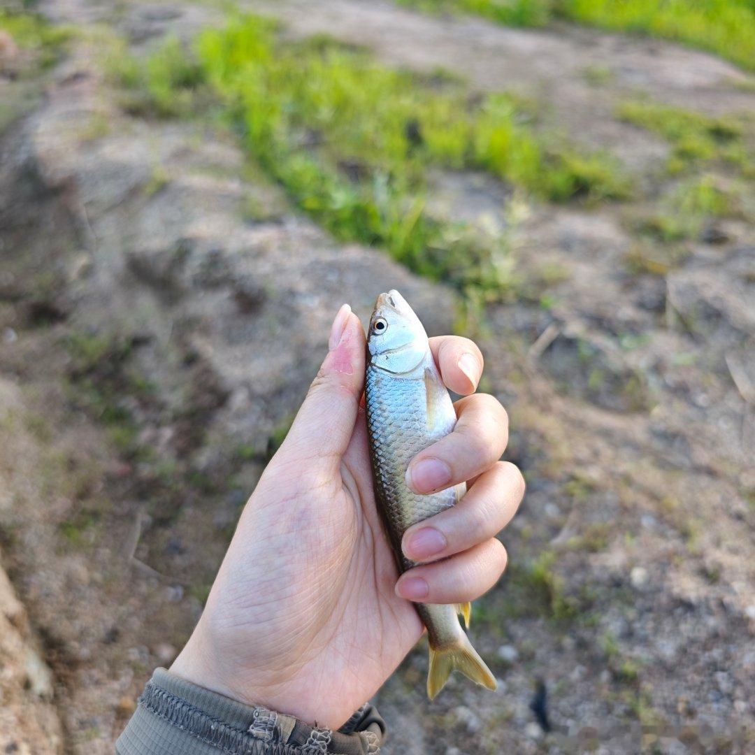 秦彻你钓技没有我好哼哼！ 