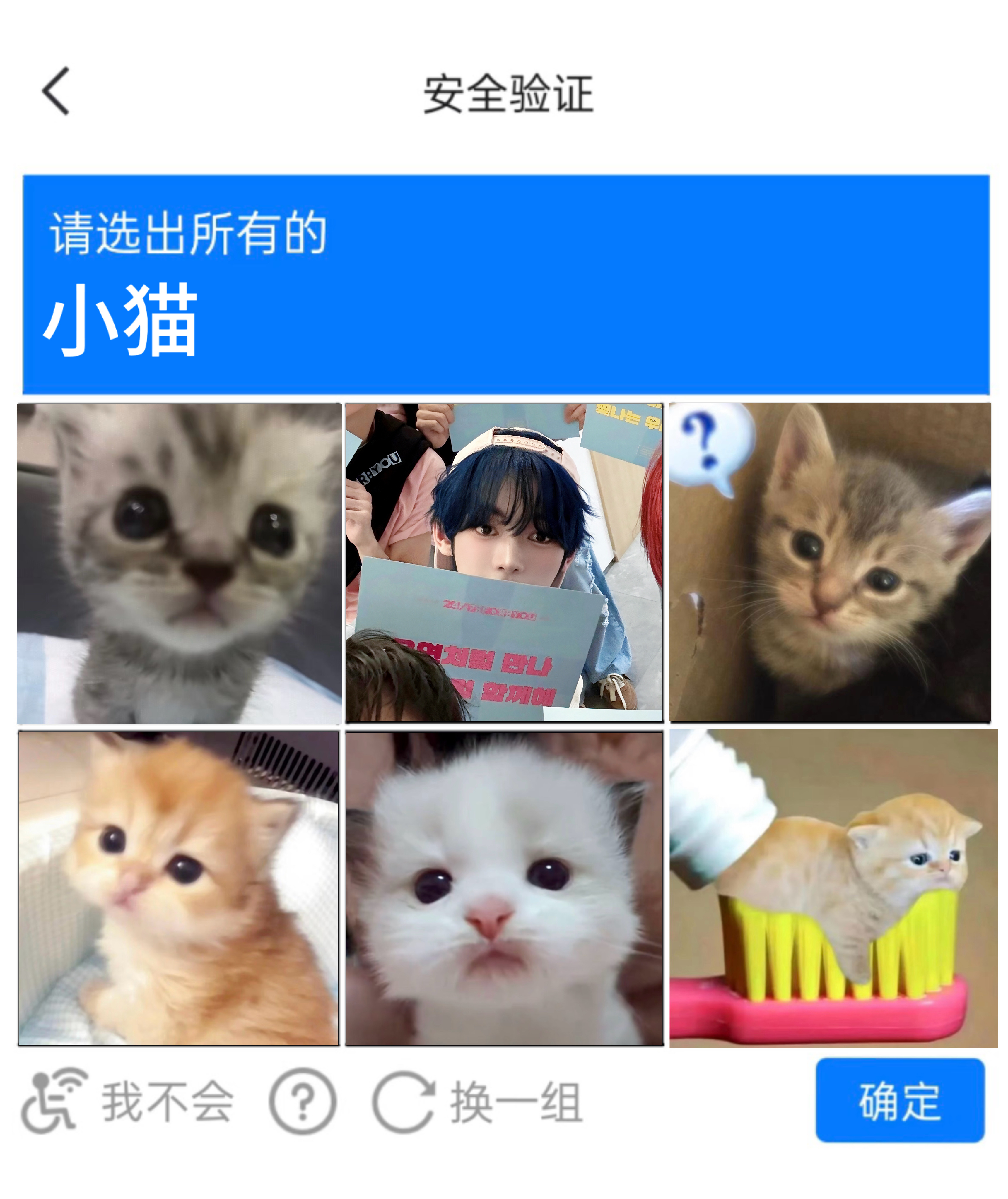 图里怎么六只猫 阵阵去哪里了 